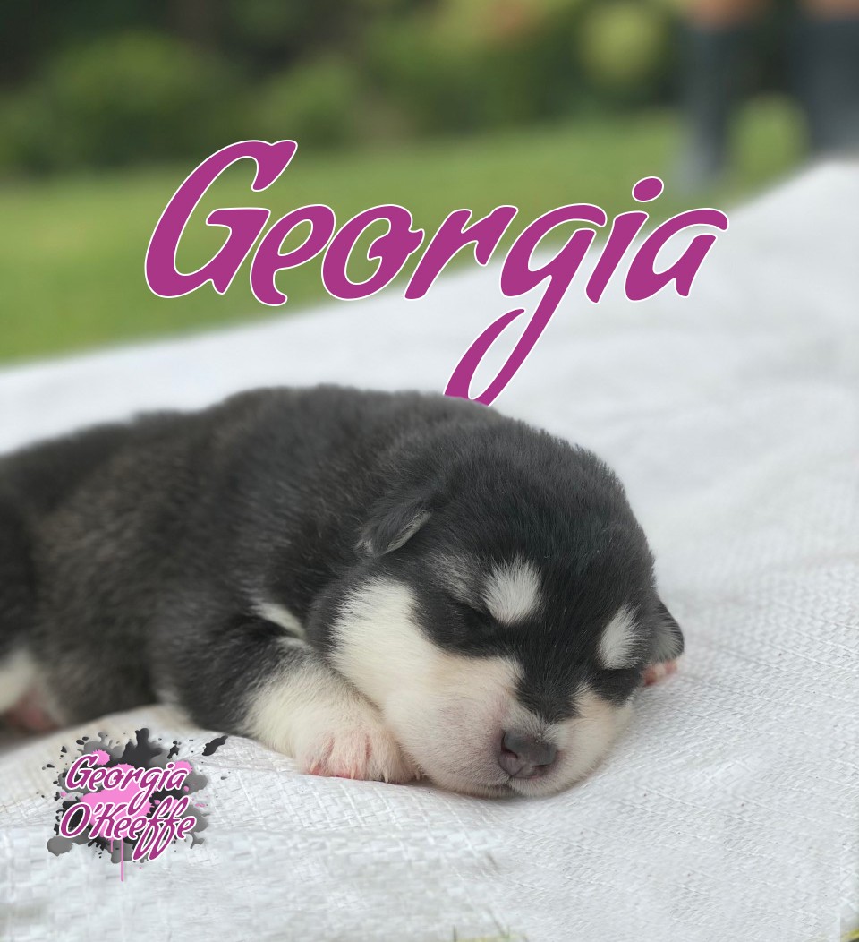 2wk georgia